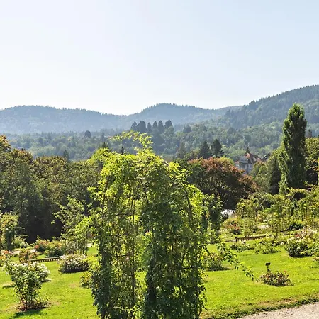 Merkurblick 아파트 *